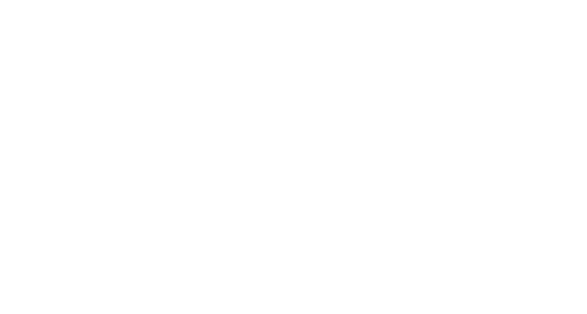 Page Graphic